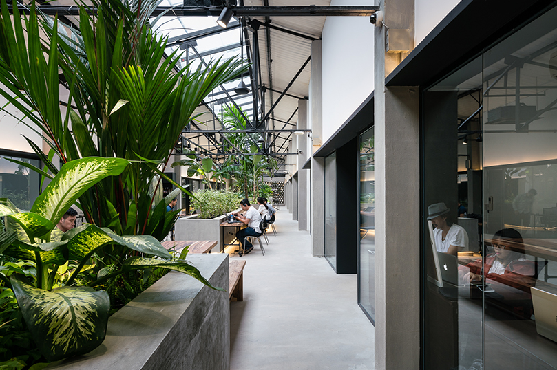 華發(fā)辦公室裝修設計分享最新叢林風施工效果圖